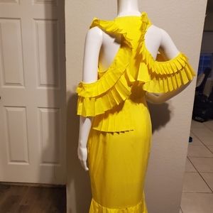 CAPTIVATE Ruffled, pleated Asymetrical Dress